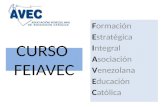 CURSO FEIAVEC Formación Estratégica Integral Asociación Venezolana Educación Católica.
