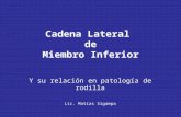Cadena Lateral de Miembro Inferior Y su relación en patología de rodilla Lic. Matías Sigampa.