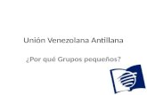 Unión Venezolana Antillana ¿Por qué Grupos pequeños?