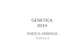 GENETICA 2014 PARTE II: HERENCIA Teórica 4. TÉRMINOS GENETICOS IMPORTANTES GenFactor hereditario (Región del DNA) que participa en determinar una característica.