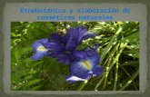 La etnobotánica estudia las relaciones entre los grupos humanos y su entorno vegetal, es decir el uso y aprovechamiento de las plantas en los diferentes.