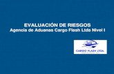 EVALUACIÓN DE RIESGOS Agencia de Aduanas Cargo Flash Ltda Nivel I.