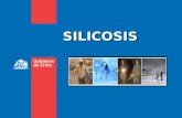 SILICOSIS. La sílice es un mineral que se encuentra en la corteza terrestre y es un componente de la arena, piedra y minerales metalíferos. La exposición.