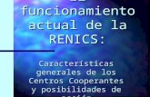 El funcionamiento actual de la RENICS: Características generales de los Centros Cooperantes y posibilidades de acción.