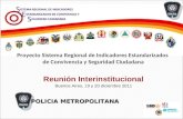 Proyecto Sistema Regional de Indicadores Estandarizados de Convivencia y Seguridad Ciudadana Reunión Interinstitucional Buenos Aires, 19 y 20 diciembre.
