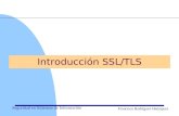 Seguridad en Sistemas de Información Francisco Rodríguez Henríquez Introducción SSL/TLS.