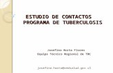 ESTUDIO DE CONTACTOS PROGRAMA DE TUBERCULOSIS Josefina Horta Flores Equipo Técnico Regional de TBC josefina.horta@redsalud.gov.cl.