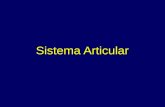 Sistema Articular. Artrología Es el estudio de los distintos elementos y funciones de las articulaciones que conforman el cuerpo humano. (Gr. artro-,