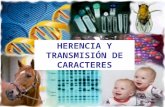 HERENCIA Y TRANSMISIÓN DE CARACTERES. Índice 1. La reproducción 2. Las experiencias de Mendel 3. La genética. Conceptos clave. 4. Interpretación de los.