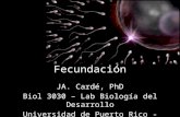 Fecundación JA. Cardé, PhD Biol 3030 – Lab Biología del Desarrollo Universidad de Puerto Rico - Aguadilla.