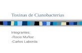 Toxinas de Cianobacterias Integrantes: -Rocio Muñoz -Carlos Laborda.