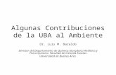 Algunas Contribuciones de la UBA al Ambiente Dr. Luis M. Baraldo Director del Departamento de Química Inorgánica Análitica y Fisico-Quimica. Facultad de.