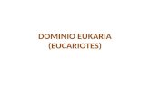 DOMINIO EUKARIA (EUCARIOTES). CARACTERISTICAS 1.Integrado por los reinos protista, fungi, animalia y plantae. 2.Contienen células con núcleo en su composición.