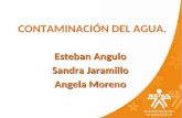 CONTAMINACIÓN DEL AGUA. Esteban Angulo Sandra Jaramillo Angela Moreno.