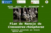 MÁSTER OFICIAL EN RESTAURACIÓN DE ECOSISTEMAS Plan de Manejo de Crassostrea rhizophorae Propuesta presentada por Ernesto Aguirre Ruiz.