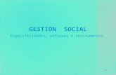 GESTION SOCIAL Especificidades, enfoques e instrumentos. 1.