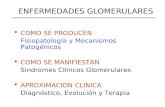ENFERMEDADES GLOMERULARES  COMO SE PRODUCEN Fisiopatología y Mecanismos Patogénicos  COMO SE MANIFIESTAN Sindromes Clínicos Glomerulares  APROXIMACION.