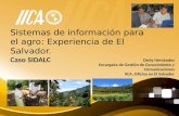 Sistemas de información para el agro: Experiencia de El Salvador. Caso SIDALC Cindy Hernández Encargada de Gestión de Conocimiento y Comunicaciones IICA,