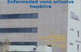 Enfermedad veno oclusiva hepática Sevilla Moreno, L.C.. Especialista Medicina Familiar y Comunitaria. M.I.R. 4º año, Pediatría. Hospital Rafael Méndez.