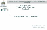 COMITÉ TÉCNICO REGIONAL DE ESTADÍSTICA Y DE INFORMACIÓN GEOGRÁFICA. Grupo de Información en Salud Guadalajara, Jal. Marzo del 2006 PROGRAMA DE TRABAJO.