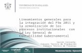 Vicerrectoría Ejecutiva Lineamientos generales para la integración del P3e 2011 y la armonización de los procesos institucionales con la Ley General de.