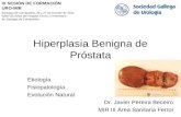 Hiperplasia Benigna de Próstata Etiología Fisiopatología Evolución Natural Dr. Javier Pereira Beceiro MIR III Área Sanitaria Ferrol IX SESIÓN DE FORMACIÓN.