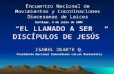 “EL LLAMADO A SER DISCÍPULOS DE JESÚS” Encuentro Nacional de Movimientos y Coordinaciones Diocesanas de Laicos Santiago, 8 de julio de 2006 Santiago, 8.