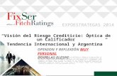 EXPOESTRATEGAS 2014 “Visión del Riesgo Crediticio: Óptica de un Calificador Tendencia Internacional y Argentina” DISCLAIMER, Todo lo que en el presente.