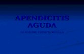 APENDICITIS AGUDA DR ROBERTO ESQUIVEL MURILLO. APENDICITIS AGUDA.