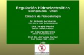 Regulación Hidroelectrolítica Bioingeniería - UNER Cátedra de Fisiopatología Dr. Roberto Lombardo Prof. Adj. (a cargo de la asignatura) Dra. Anabel Merlini.