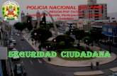 13/04/2015 1 POLICIA NACIONAL DEL PERU REGION PNP TACNA Unidad de la Familia, Participación y Seguridad Ciudadana.