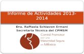 Dra. Raffaela Schiavon Ermani Secretaria Técnica del CPMSM Informe de Actividades 2013-2014.