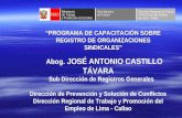 Abog. JOSÉ ANTONIO CASTILLO TÁVARA Sub Dirección de Registros Generales Dirección de Prevención y Solución de Conflictos Dirección Regional de Trabajo.