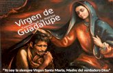 Virgen de Guadalupe Emperatriz de las Américas “Yo soy la siempre Virgen Santa María, Madre del verdadero Dios”