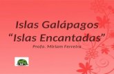 Las Galápagos desde el espacio Datos generales Archipiélago: 13 islas mayores, 6 menores, 42 islotes y afloramientos rocosos. Conocido como archipiélago.