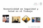 Normatividad en Seguridad y Salud en el Trabajo Ing. Leonardo Pérez Saldaña.