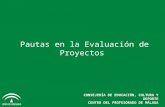 CONSEJERÍA DE EDUCACIÓN, CULTURA Y DEPORTE CENTRO DEL PROFESORADO DE MÁLAGA Pautas en la Evaluación de Proyectos.
