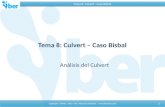 Tema 8. Culvert - Caso Bisbal Copyright. CIMNE – UdC - UPC. Todos los derechos.   Tema 8: Culvert – Caso Bisbal Análisis del Culvert 1