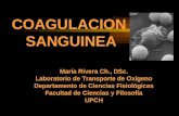 María Rivera Ch., DSc. Laboratorio de Transporte de Oxígeno Departamento de Ciencias Fisiológicas Facultad de Ciencias y Filosofía UPCH COAGULACION SANGUINEA.