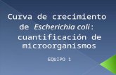Curva de crecimiento de Escherichia coli: cuantificación de microorganismos EQUIPO 1.