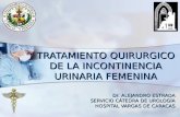TRATAMIENTO QUIRURGICO DE LA INCONTINENCIA URINARIA FEMENINA Dr. ALEJANDRO ESTRADA SERVICIO CÁTEDRA DE UROLOGÍA HOSPITAL VARGAS DE CARACAS.