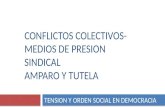 CONFLICTOS COLECTIVOS- MEDIOS DE PRESION SINDICAL AMPARO Y TUTELA TENSION Y ORDEN SOCIAL EN DEMOCRACIA.