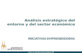 Análisis estratégico del entorno y del sector económico INICIATIVAS EMPRENDEDORAS Centro de Iniciativas Emprendedoras CIE.
