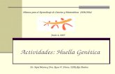 Actividades: Huella Genética Alianza para el Aprendizaje de Ciencias y Matemáticas (AlACiMa) Junio 4, 2007 Dr. Noel Motta y Dra. Rosa V. Flores, UPR-Río.