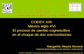 CEIICH Jornadas de Investigación 2009 CODEX XXI: México siglo XVI El proceso de cambio cognoscitivo en el choque de dos cosmovisiones ” Margarita Maass.