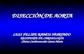DISECCIÓN DE AORTA LUIS FELIPE RAMOS HURTADO RESIDENTE DE CARDIOLOGÍA Clinica Cardiovascular Santa Maria.