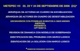 METEPEC VII 22, 23 Y 24 DE SEPTIEMBRE DE 2006 (21)* JERARQUIA DE ACTORES EN CUADRO DE ESTABILIZACION JERARQUIA DE ACTORES EN CUADRO DE DESESTABILIZACION.
