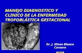 MANEJO DIAGNOSTICO Y CLINICO DE LA ENFERMEDAD TROFOBLÁSTICA GESTACIONAL Dr. J. Eliseo Blanco Carnero HUVA.