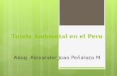 Tutela Ambiental en el Peru Abog. Alexander Joao Peñaloza M.