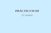 PRÁCTICUM III (1ª sesión). Coordinador de Prácticas Comisión de Prácticas Profesores de “Organización de Prácticas” (2º curso) Maestros tutores de los.